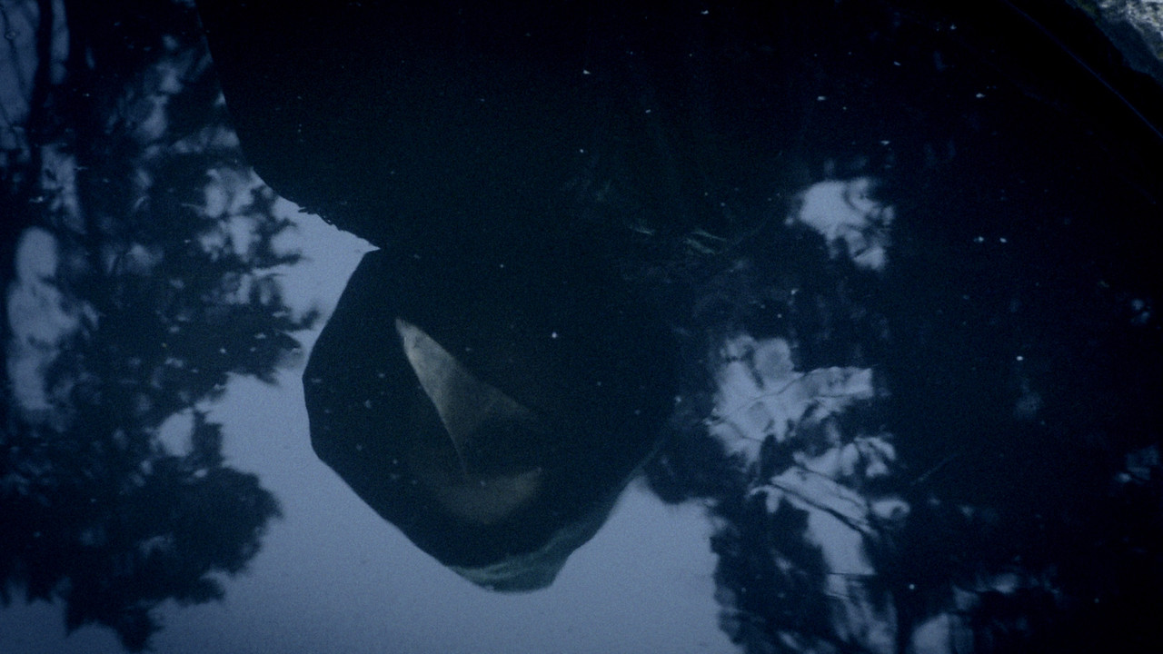 Somos animales still 10