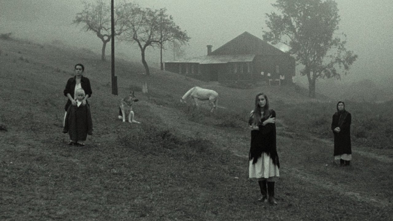 Nostalgia (1983)