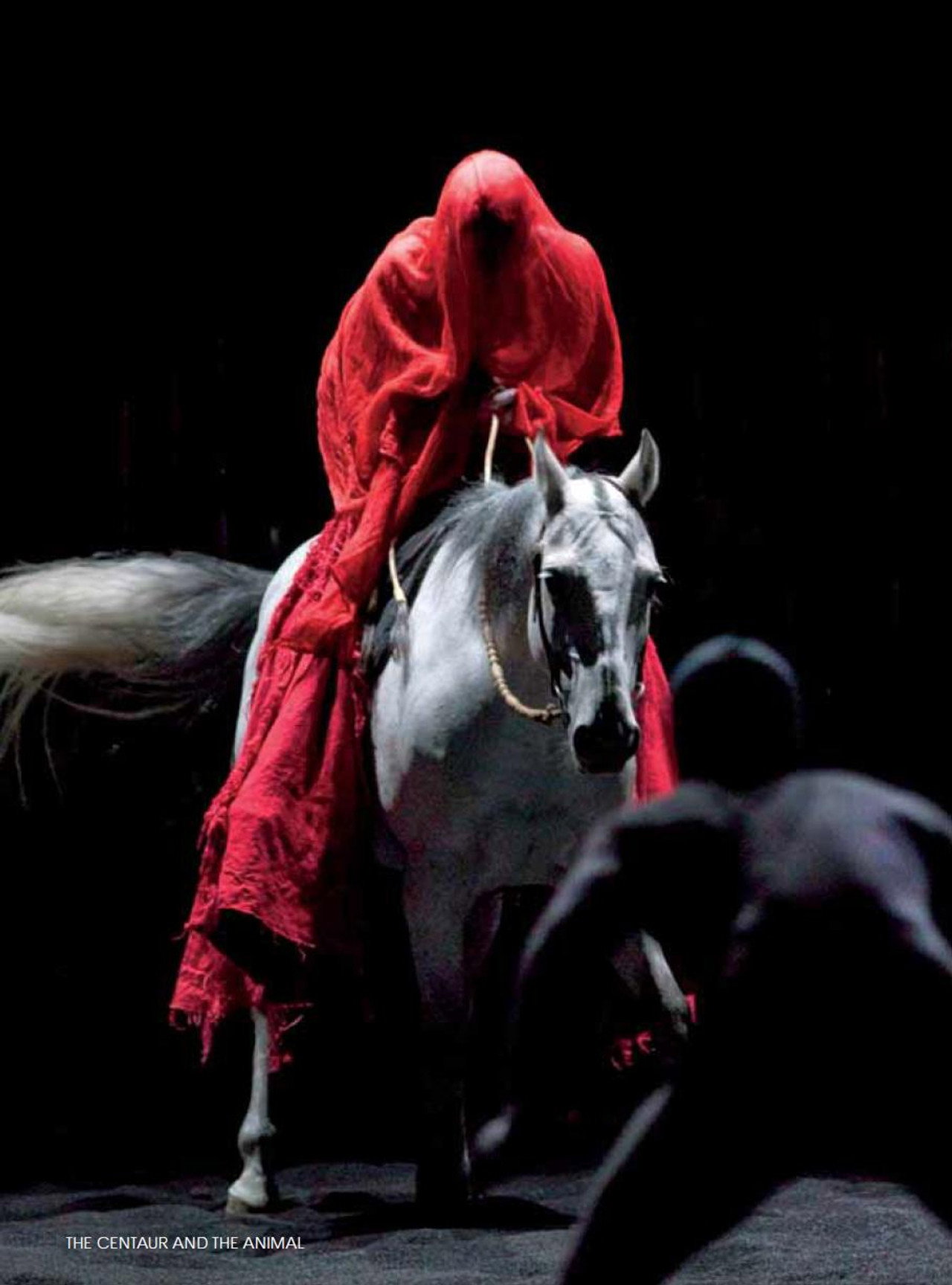 The Centaur and the Animal Backdrop