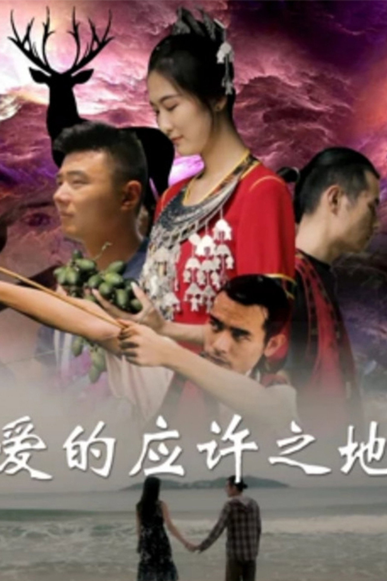 爱的应许之地 filmaffisch
