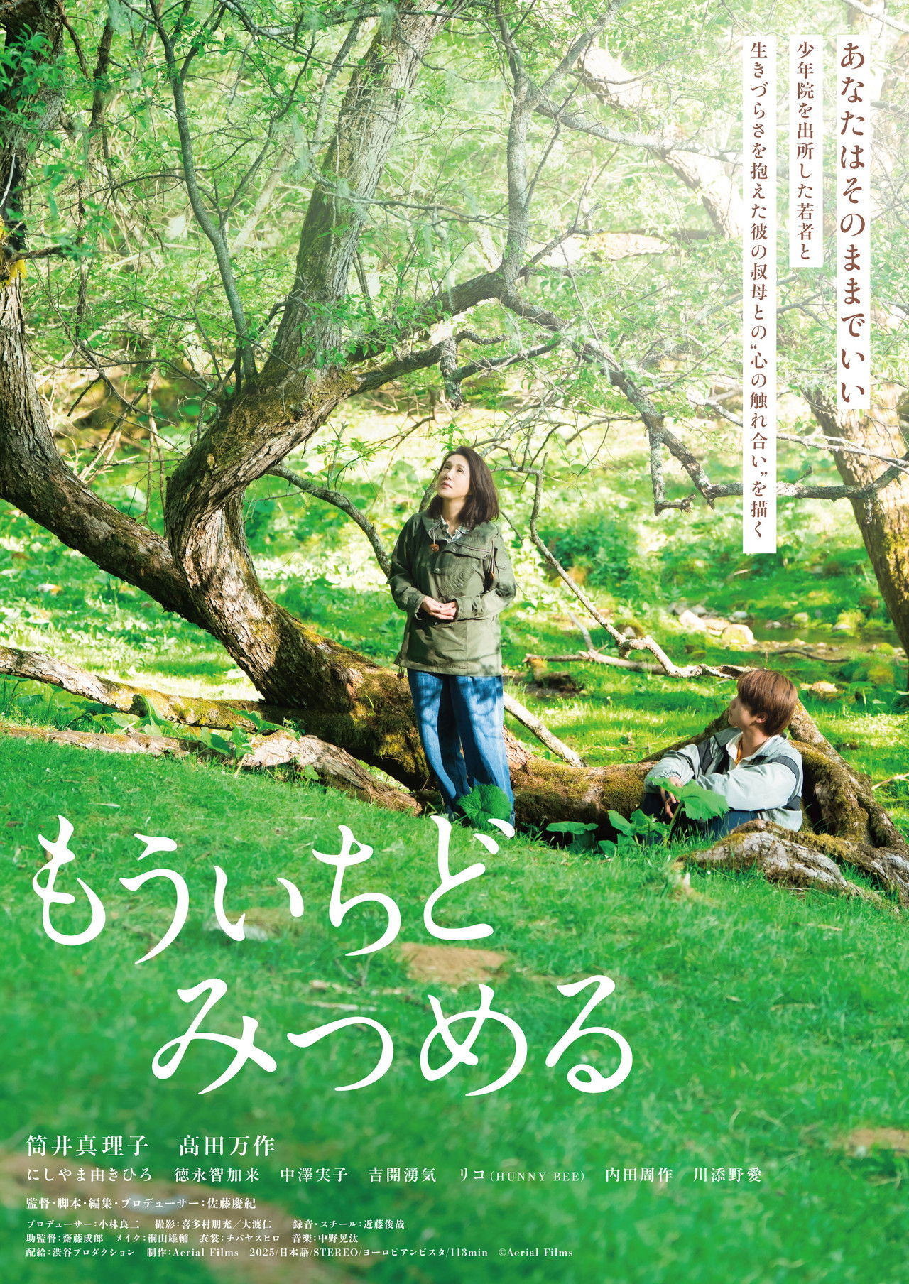 Dawn Chorus Backdrop