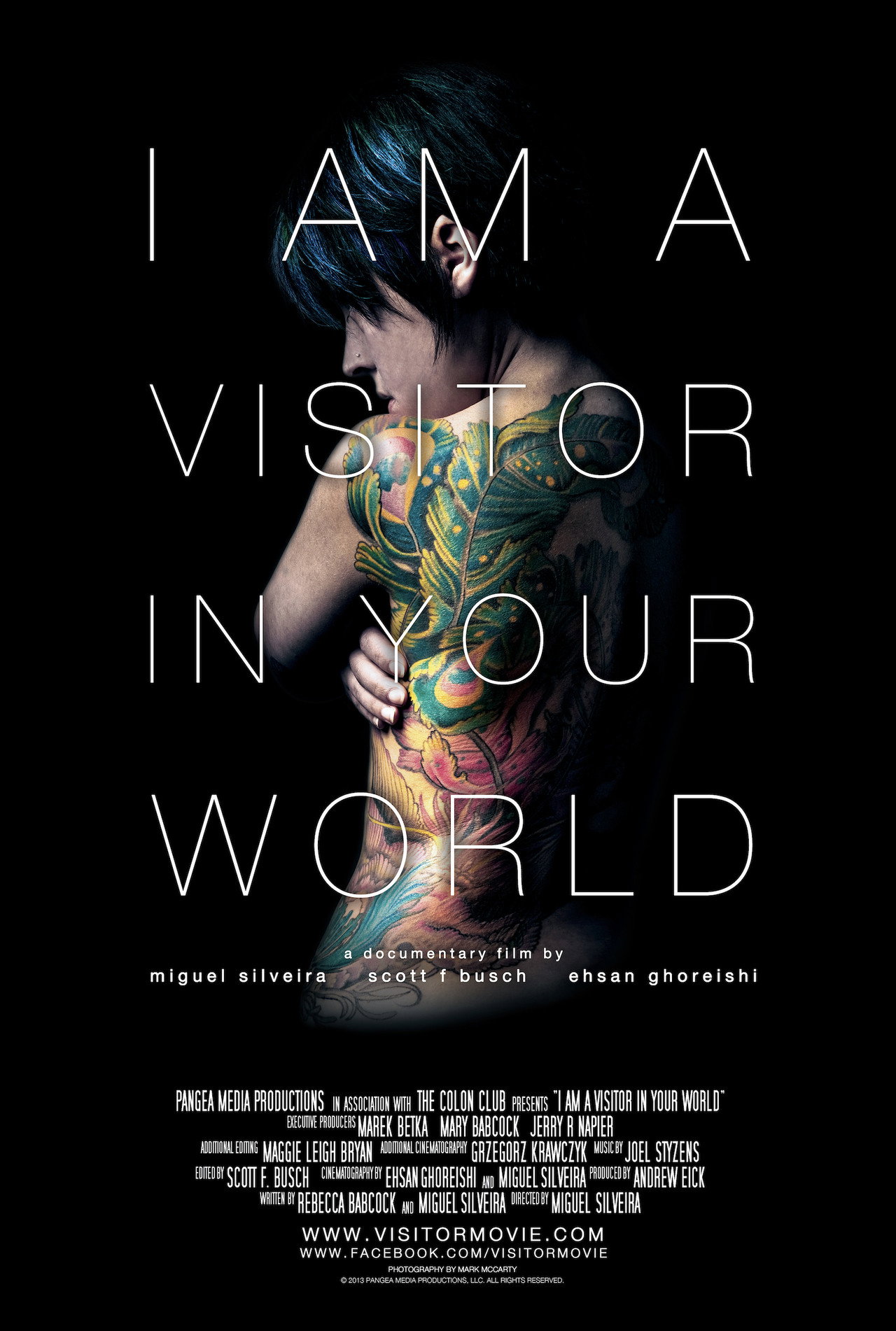 I Am a Visitor in Your World filmaffisch