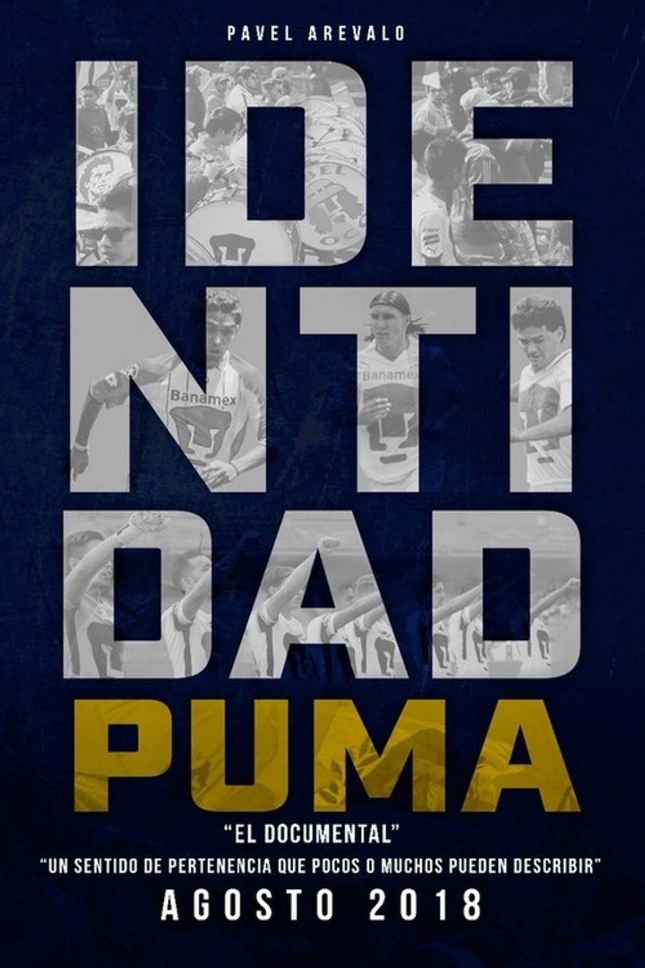 Puma Identity poster