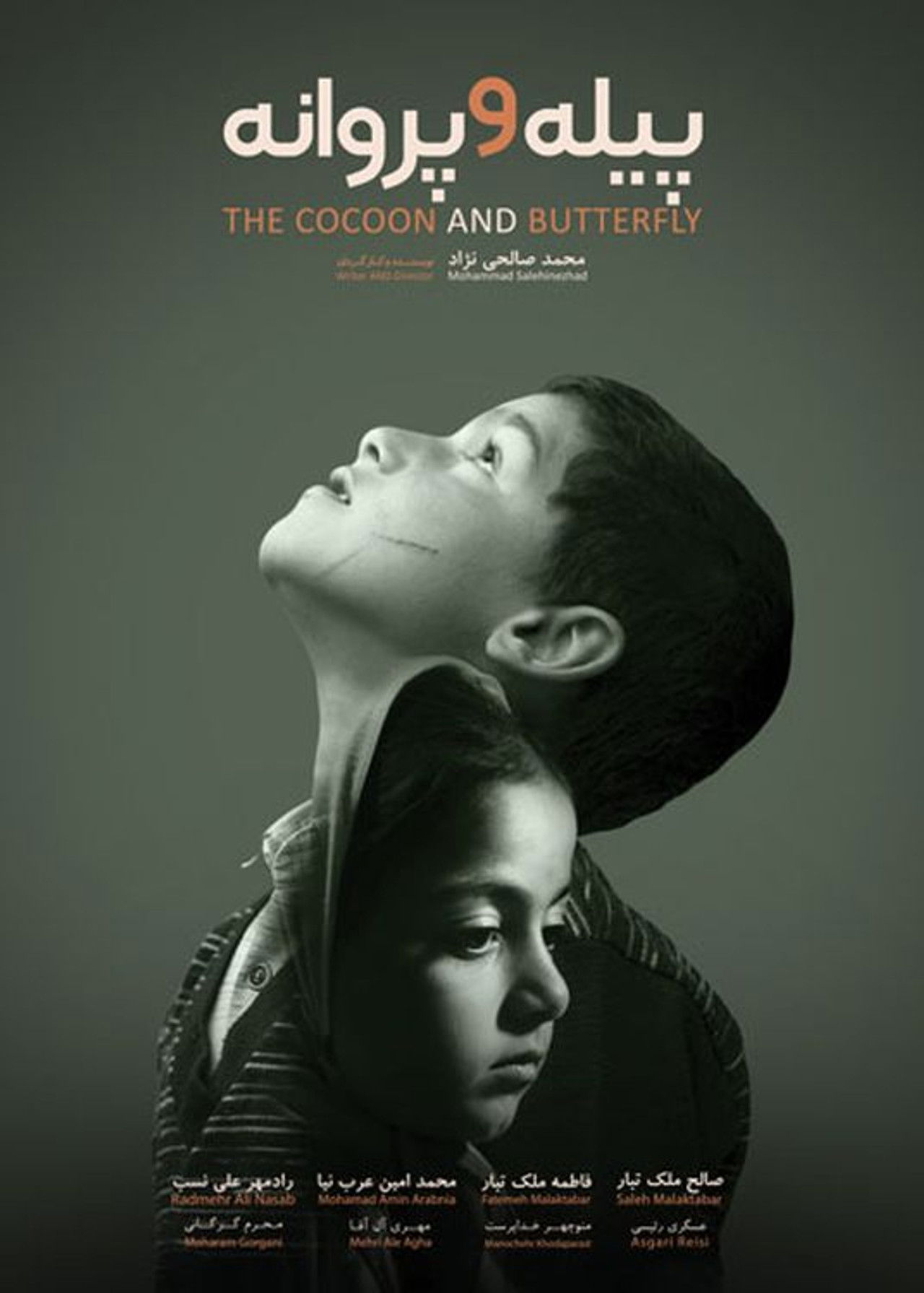 The Cocoon & Butterfly Backdrop