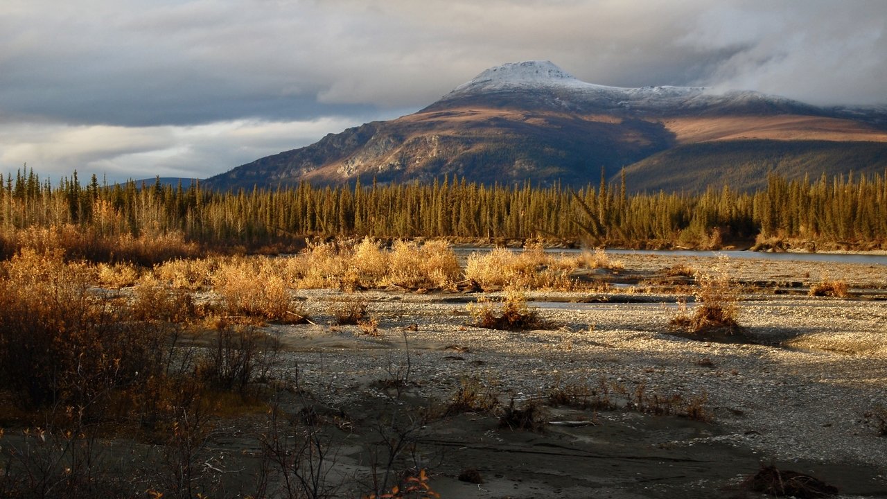 Arctic Daughter: A Lifetime of Wilderness background