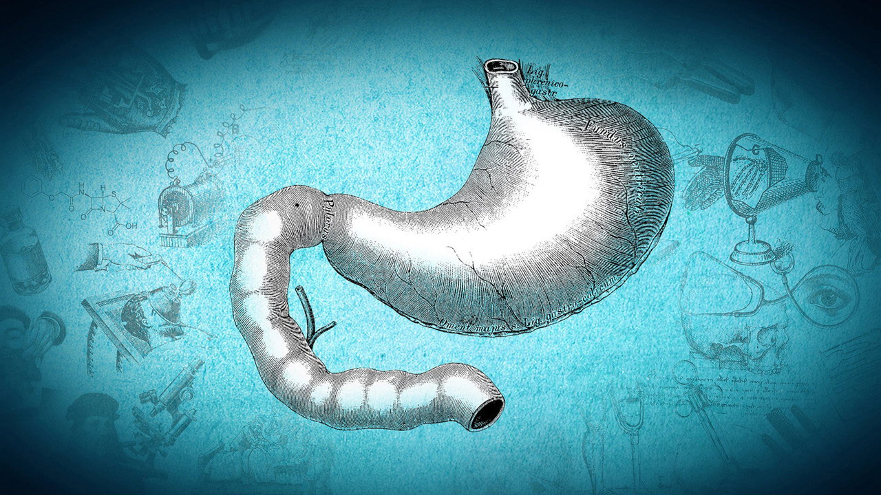 Gastroenterology