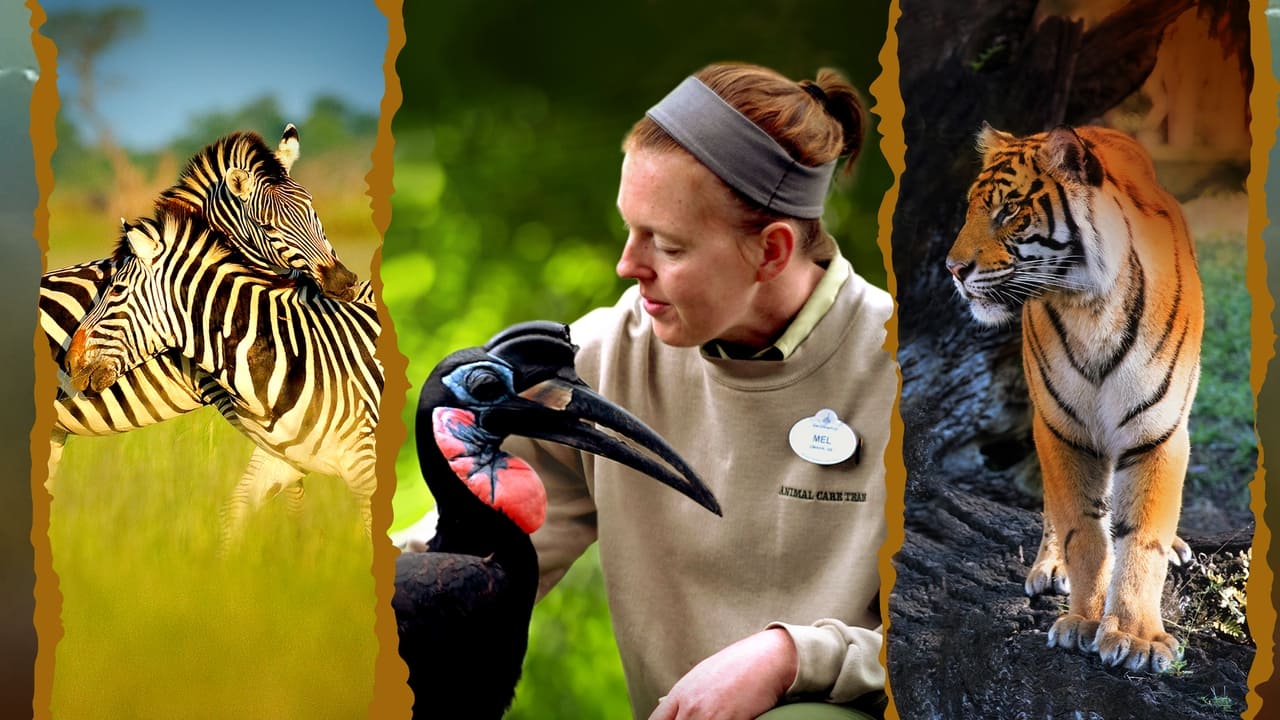 Cast and Crew of Magic of Disney's Animal Kingdom