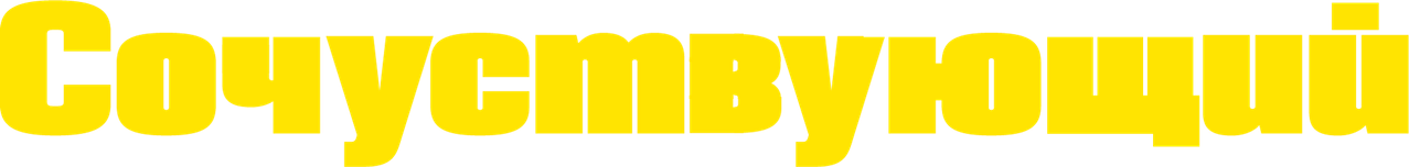 Сочувствующий