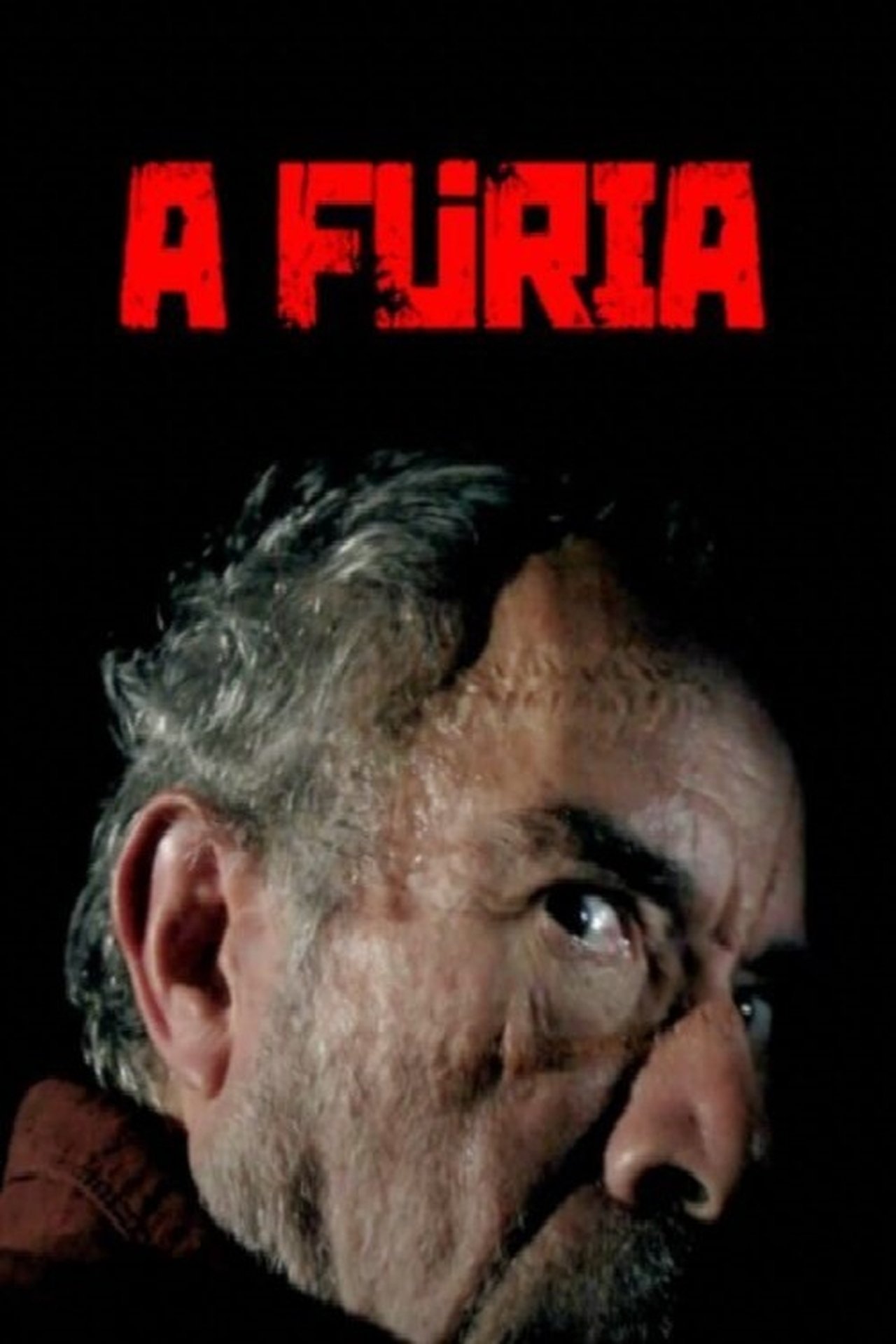 مشاهدة فيلم A Fúria مترجم بدون اعلانات - بوستر