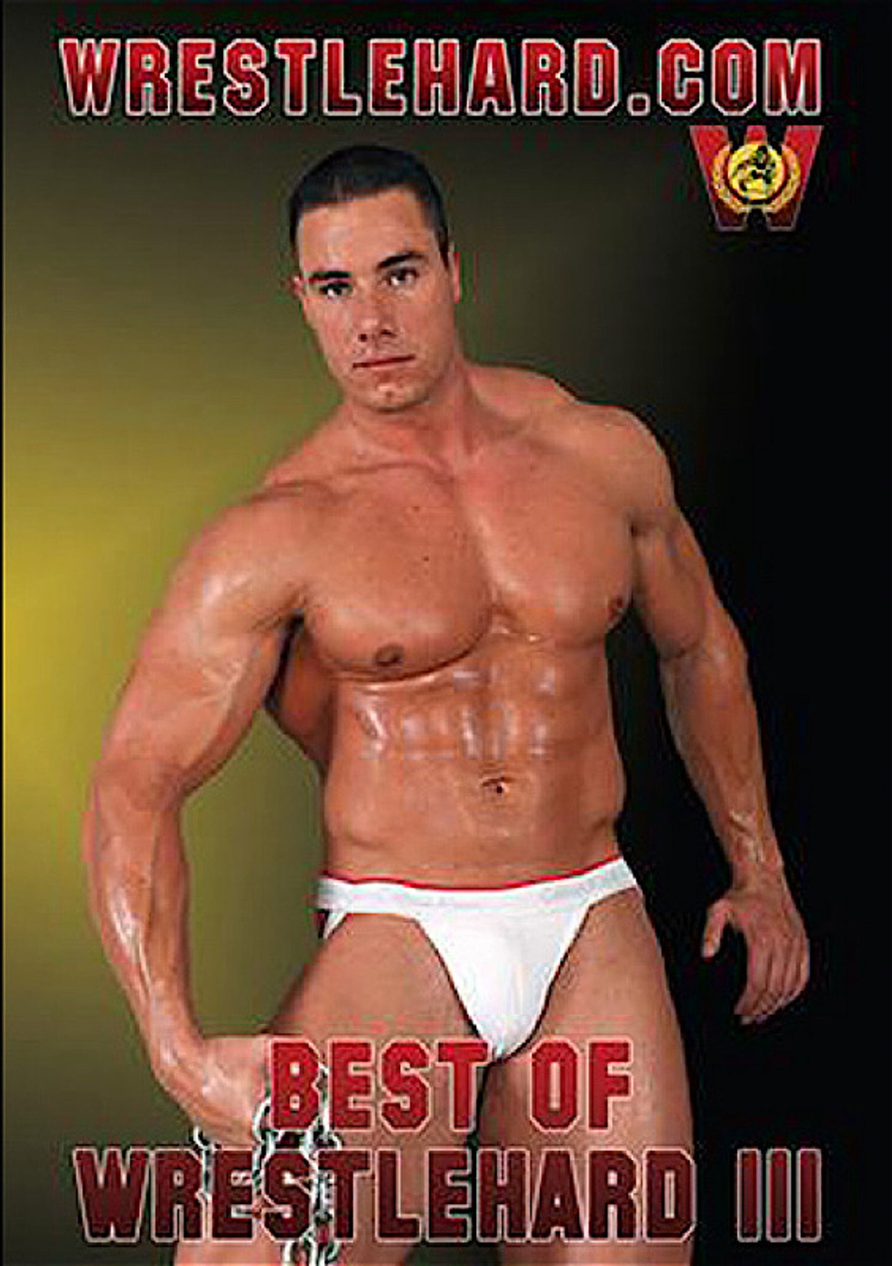 Best of Wrestlehard 3 filmaffisch