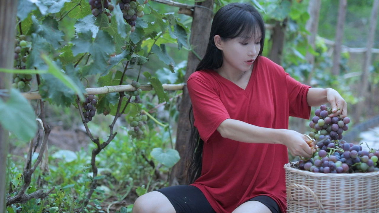 李子柒全集 — Épisode 5