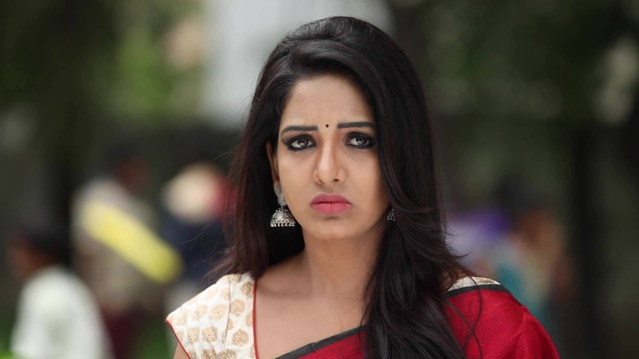 Chinna Thambi - Season 1 Episode 237 : Nandini Seeks Closure