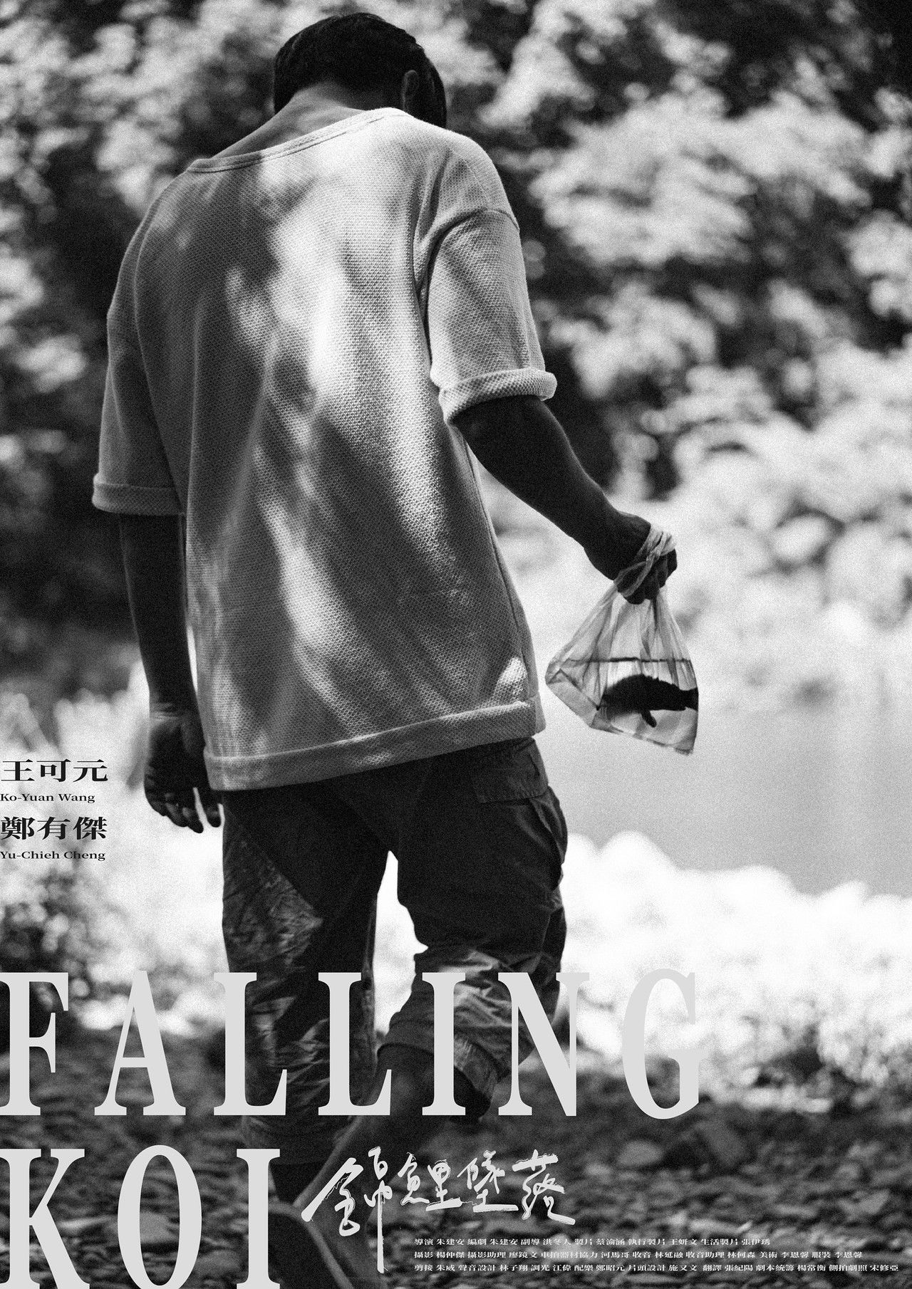 Falling Koi Backdrop