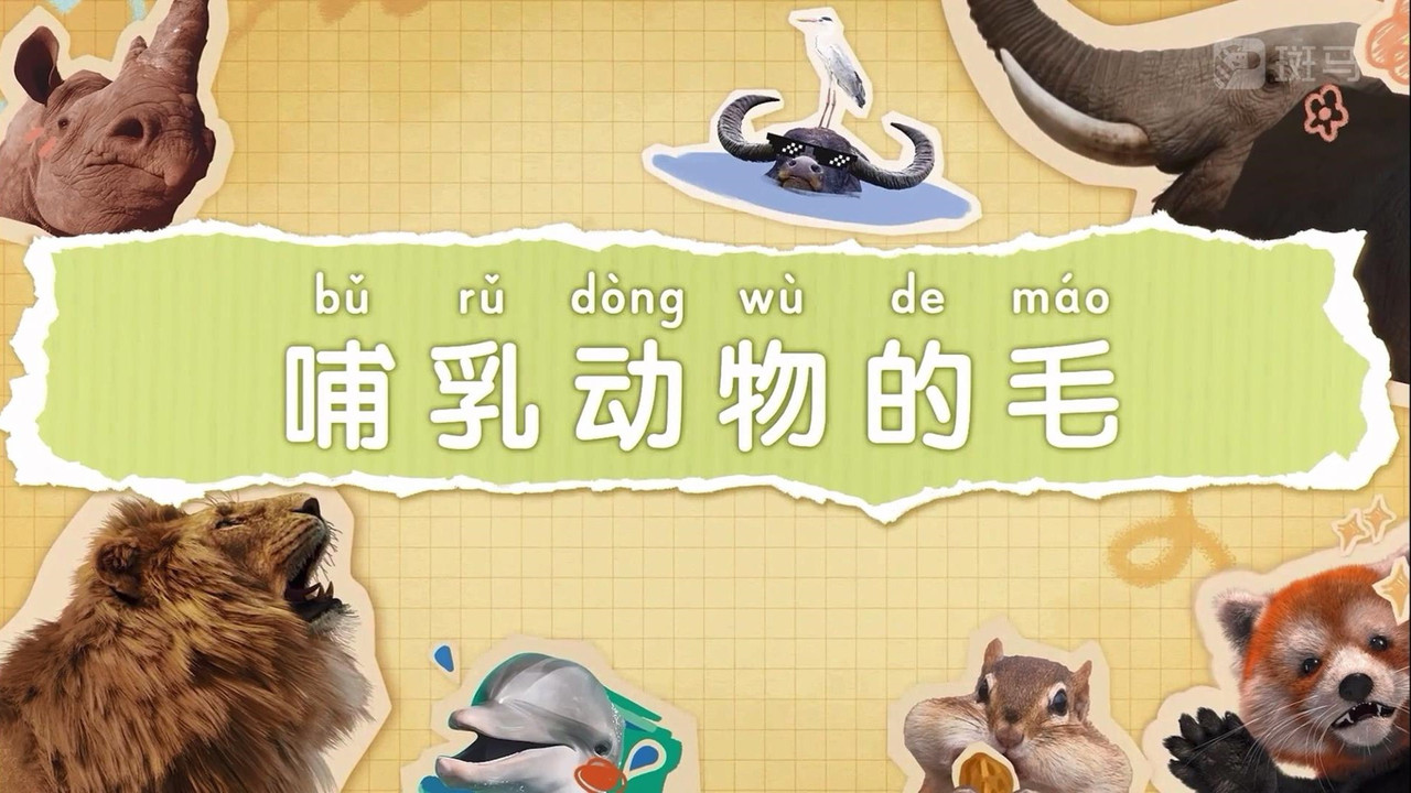 斑马百科 — Épisode 2