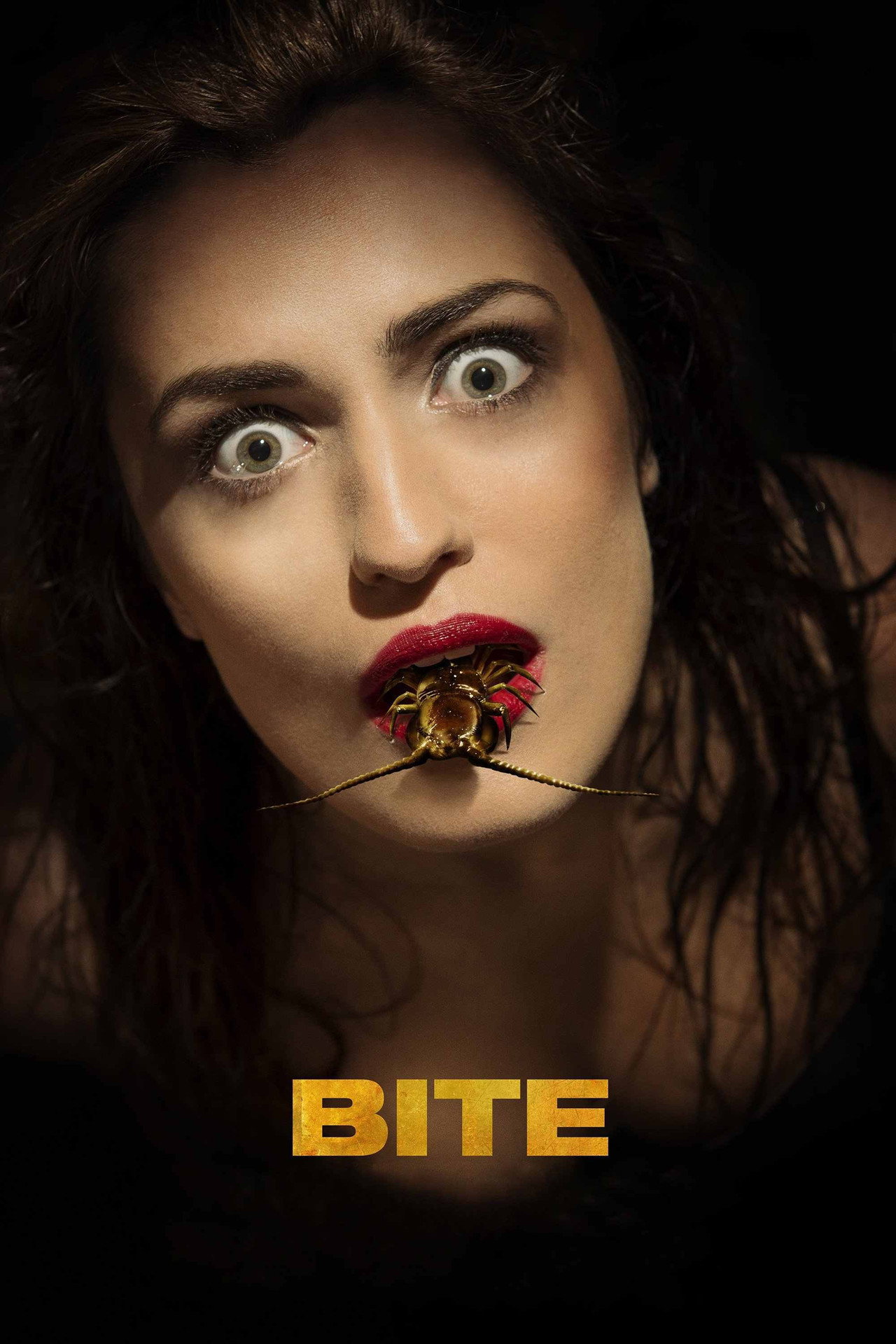 Bite – plakát 5