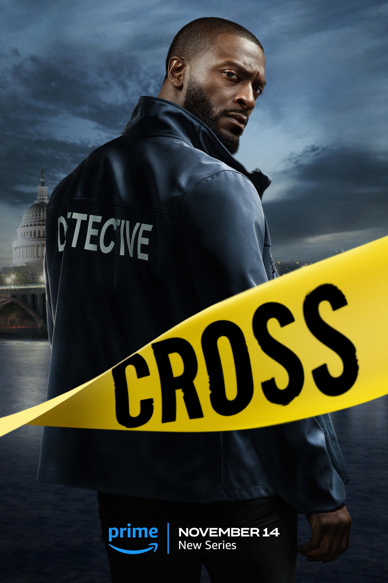 Cross (2024) Hindi Season 1 Complete backdrop