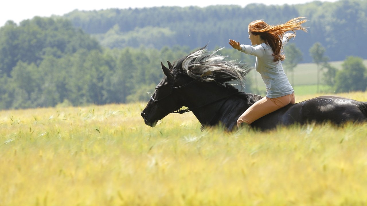 Windstorm (2013)