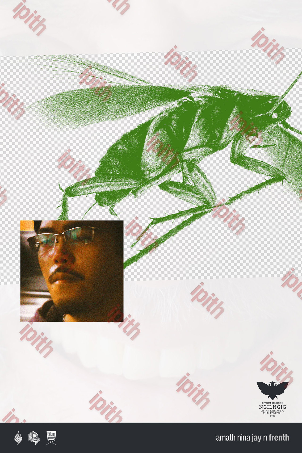 cockroach