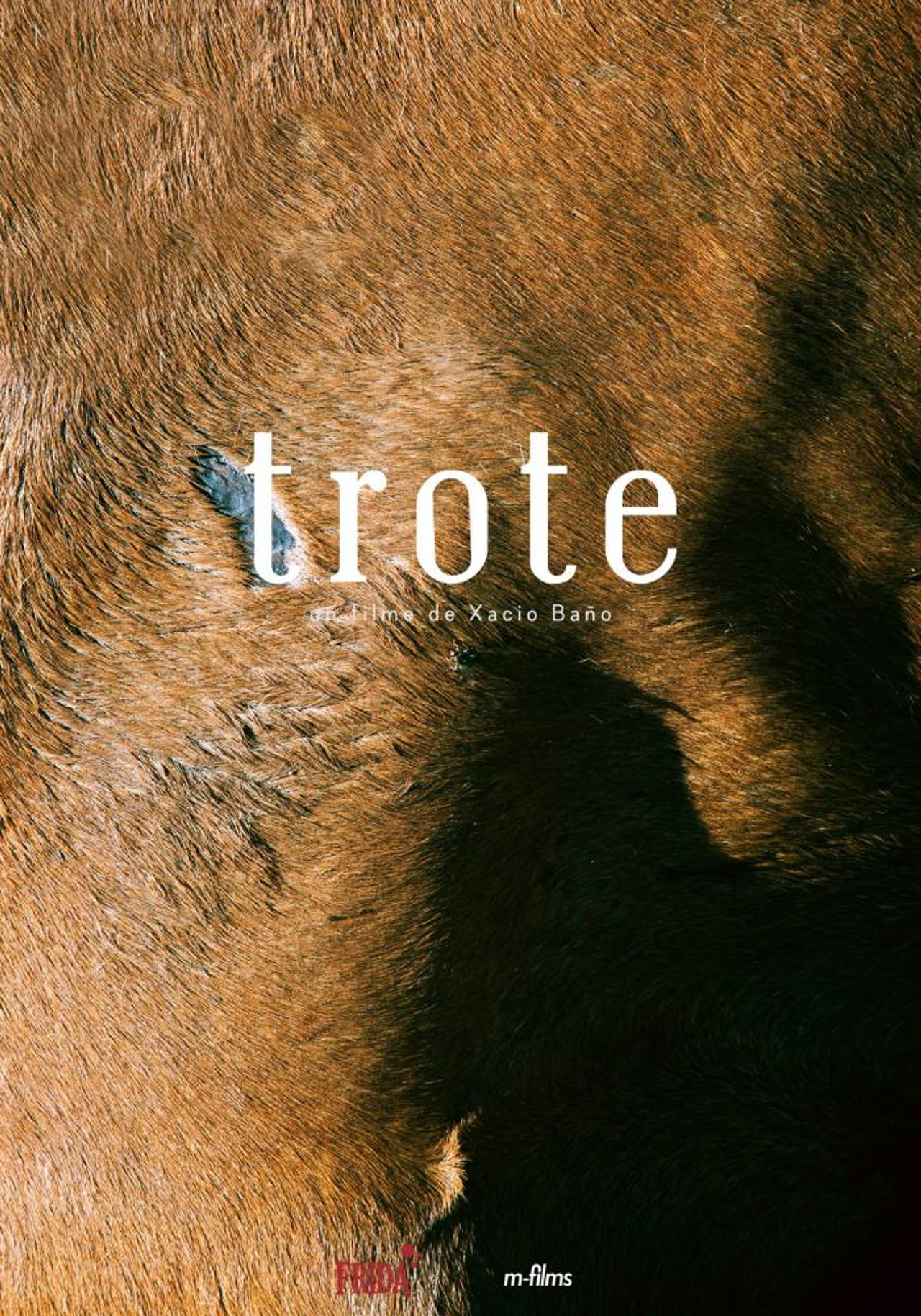 Trote filmaffisch