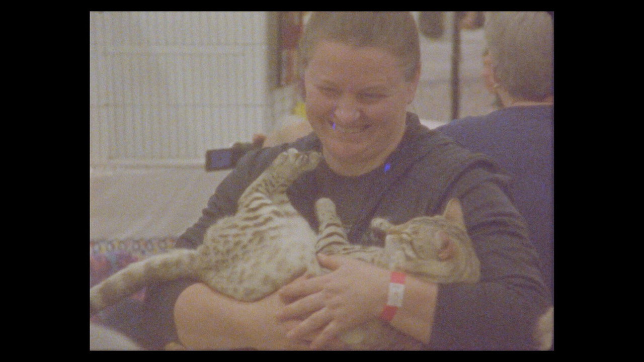 Considering Cats still 5