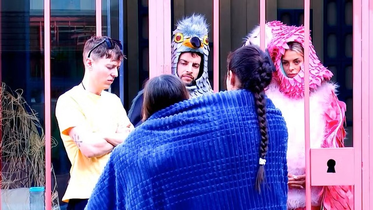 Gran Hermano - Season 20 Episode 3 : Episode 3