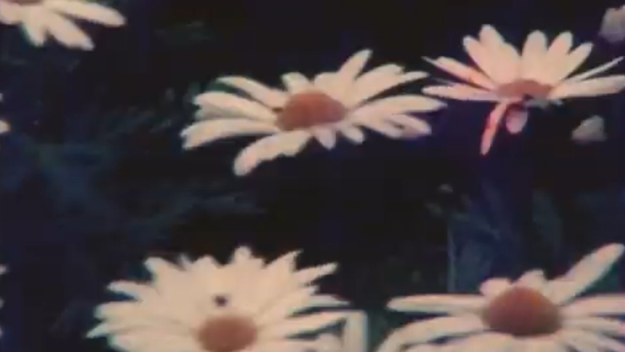 title image