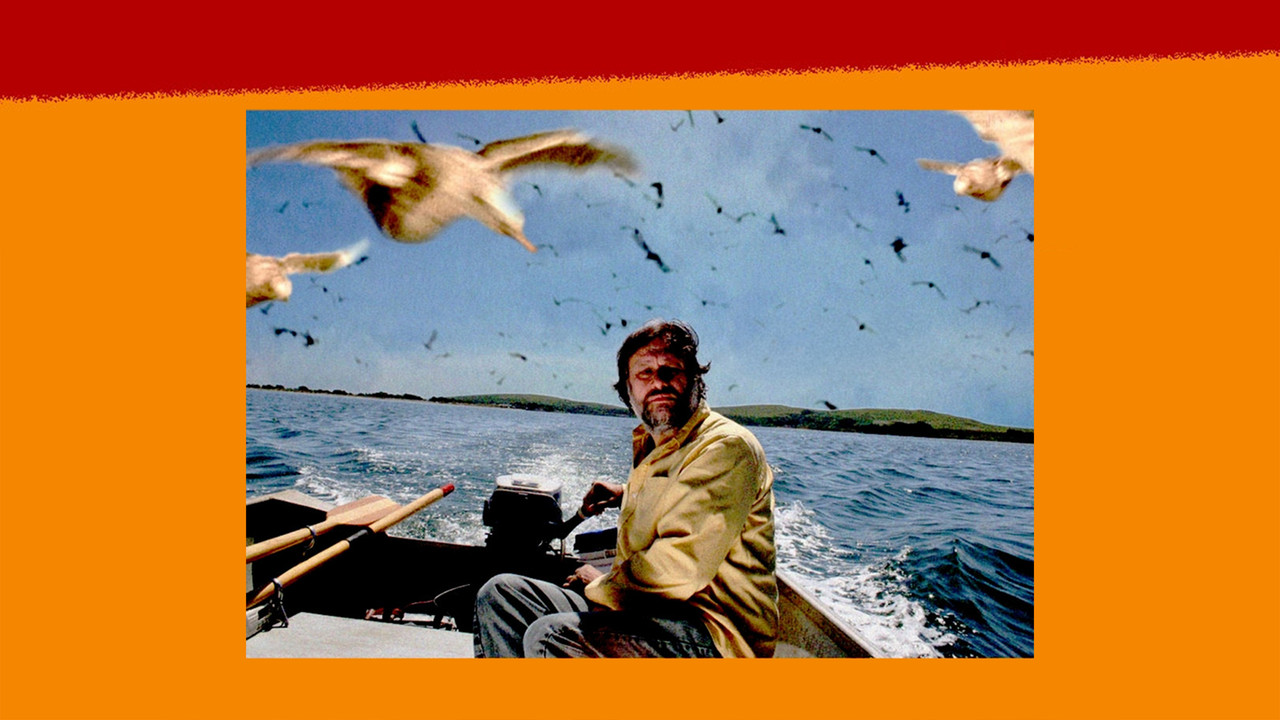 The Pervert's Guide to Cinema (2006) trailer