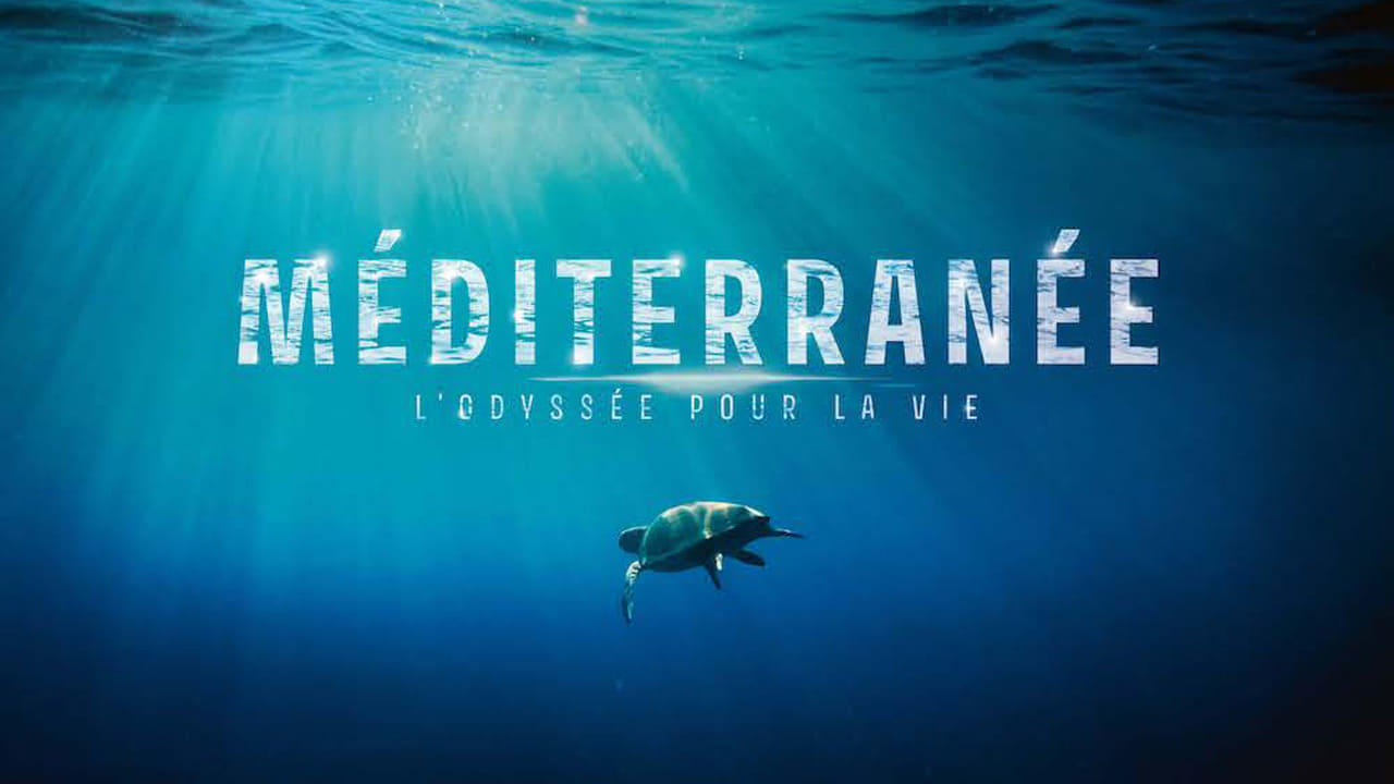 Méditerranée: L'odyssée pour la vie background