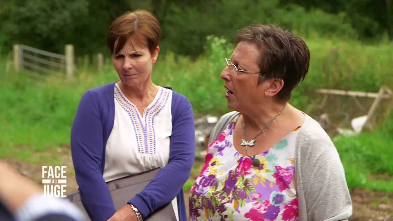 Face au juge — Conflit de voisinage