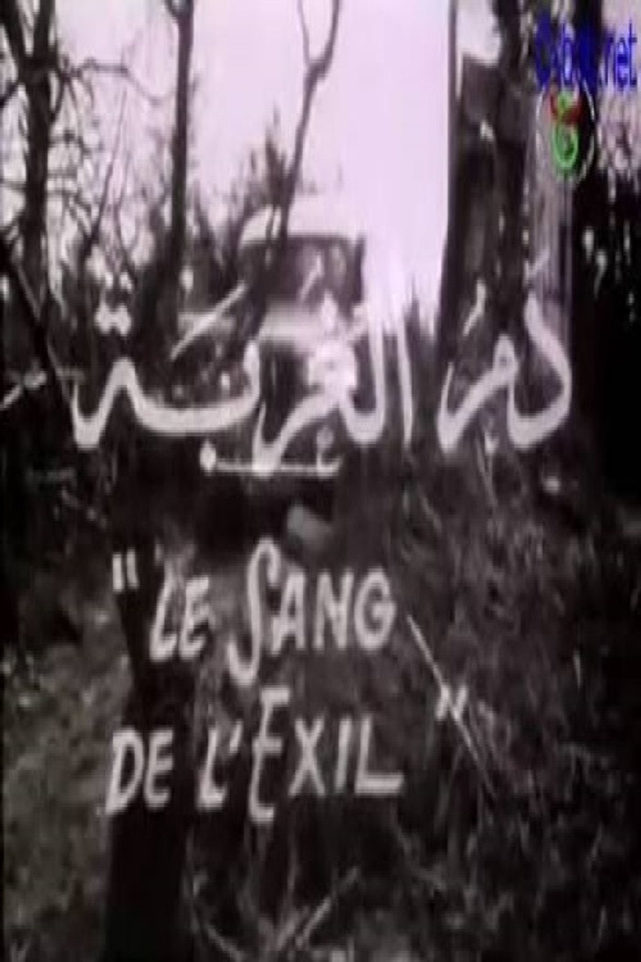 The Blood of Exile poster