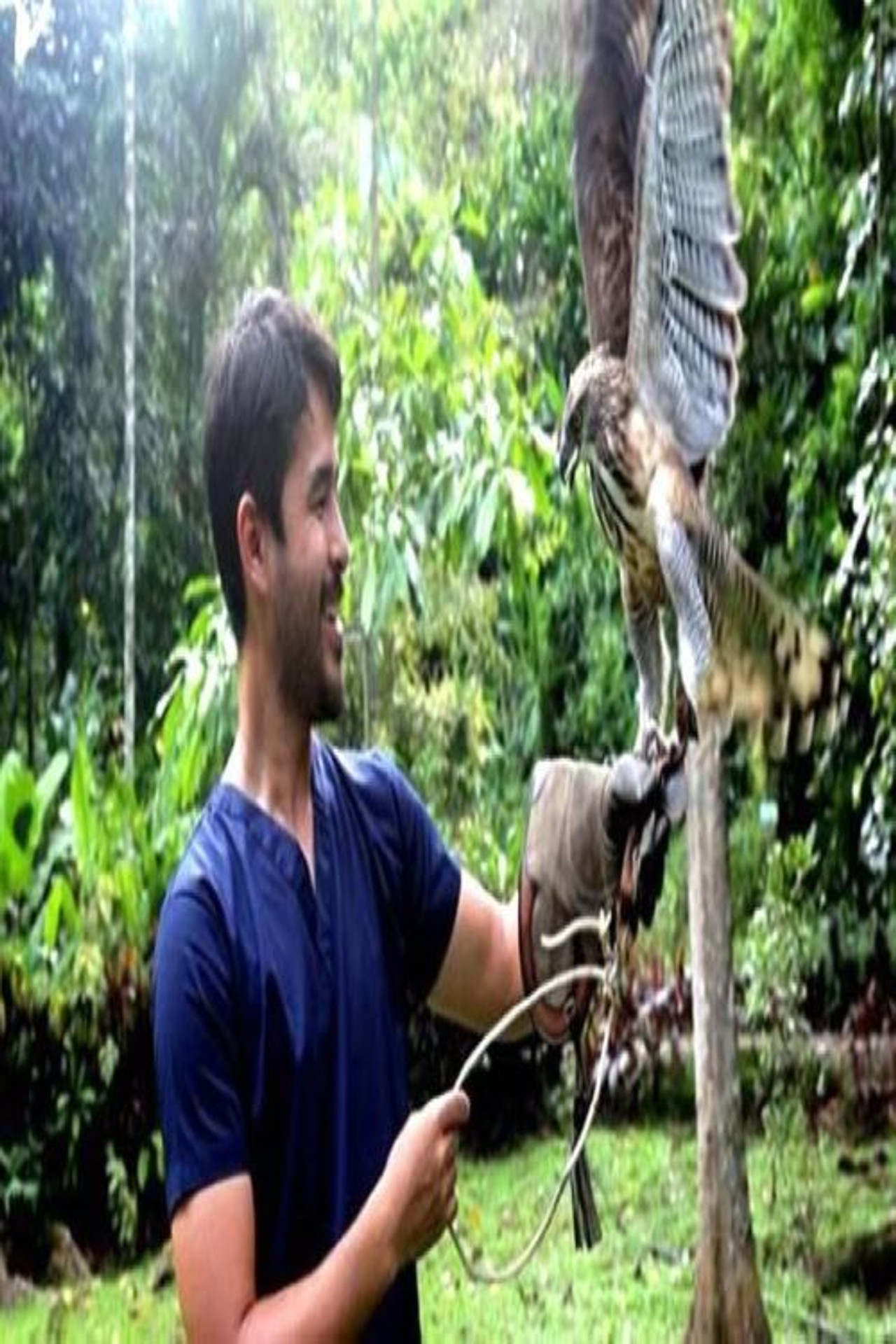 Bird Hunt
