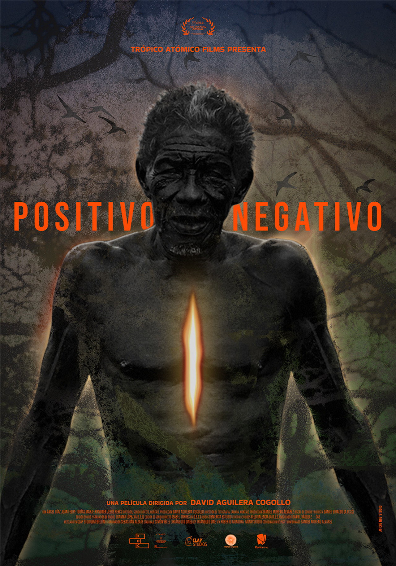 Positive Negative