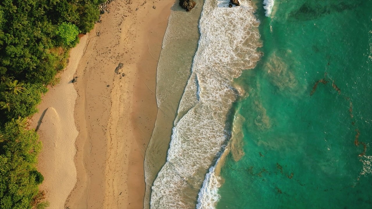 Robinson - Season 24 Episode 44 : Episode 44