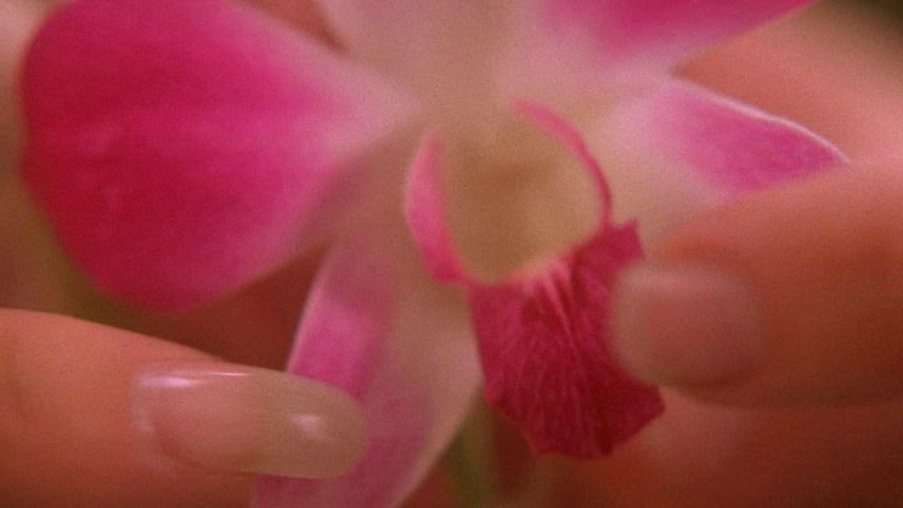 Twin Peaks - Season 2 Episode 5 : The Orchid's Curse