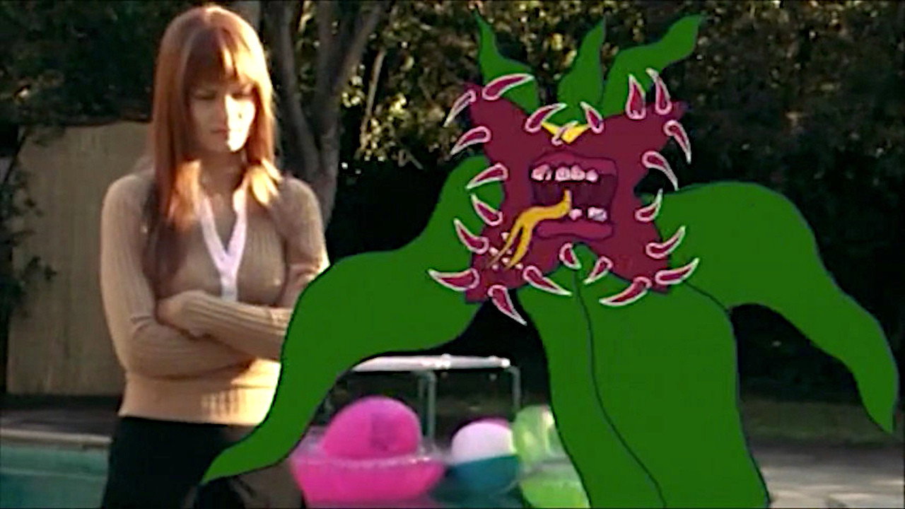 Killer Shrimps still 5