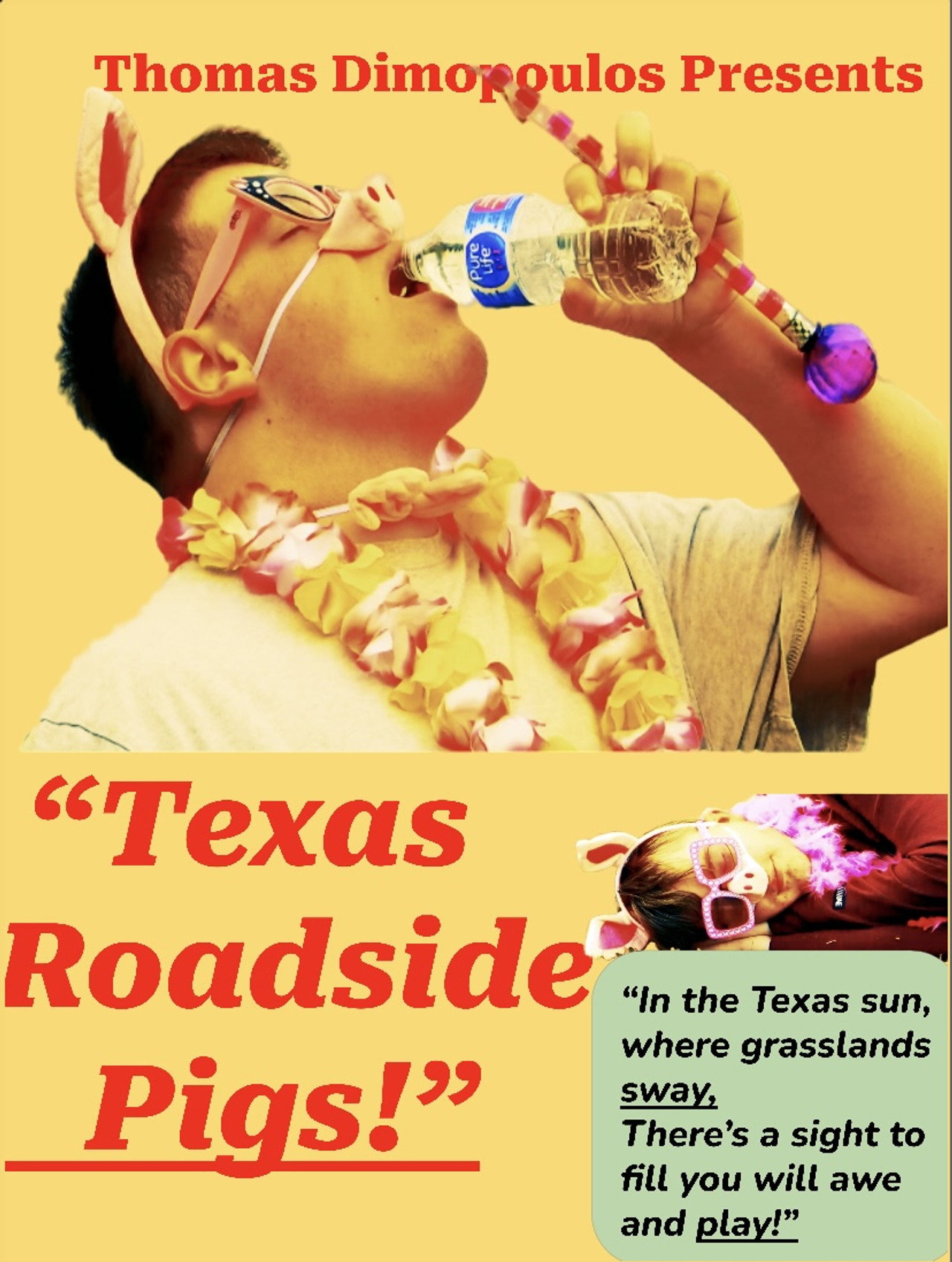 Texas Roadside Pigs! Backdrop