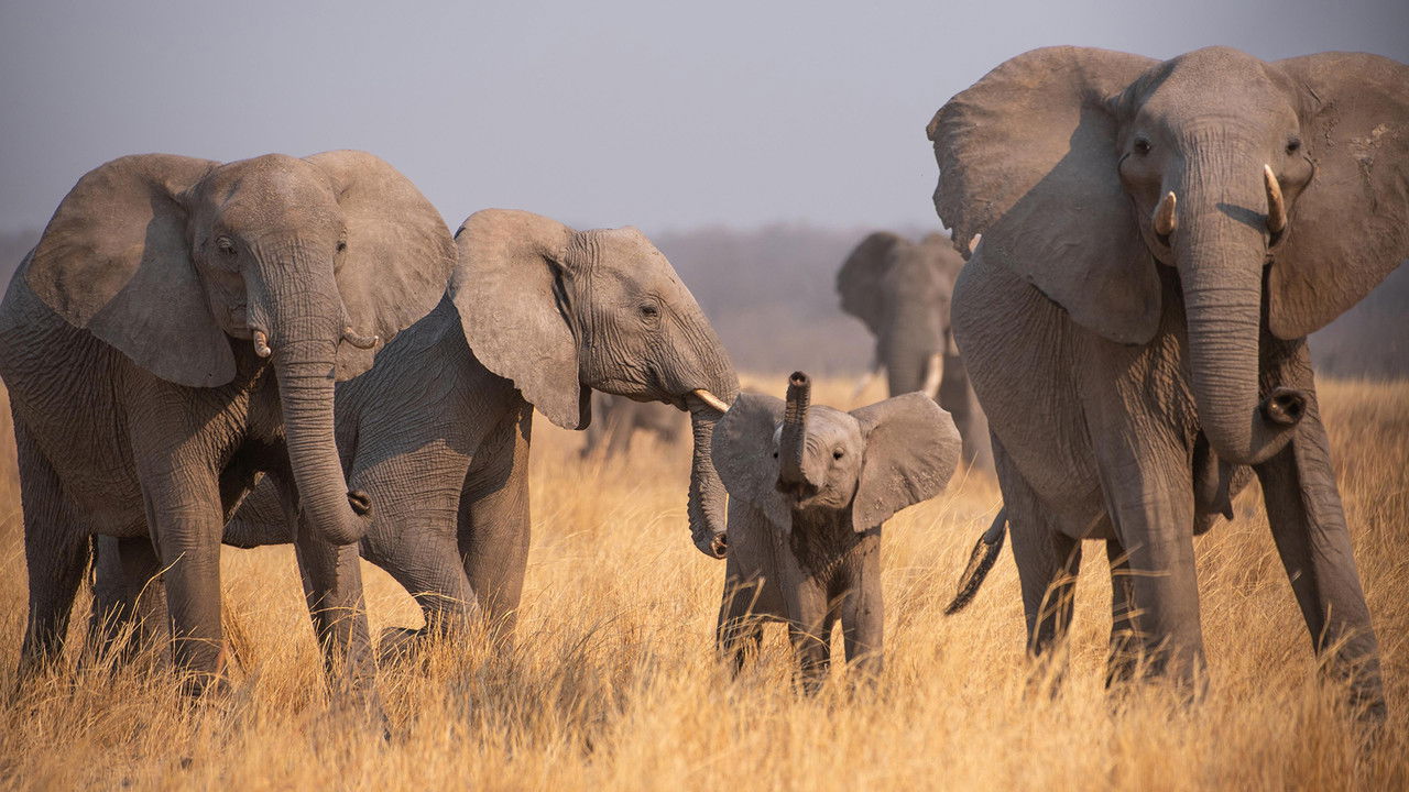 Nature — Épisode 10