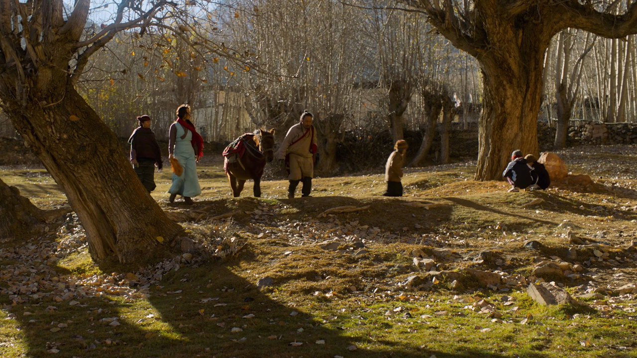 Himalayan Gold still 5