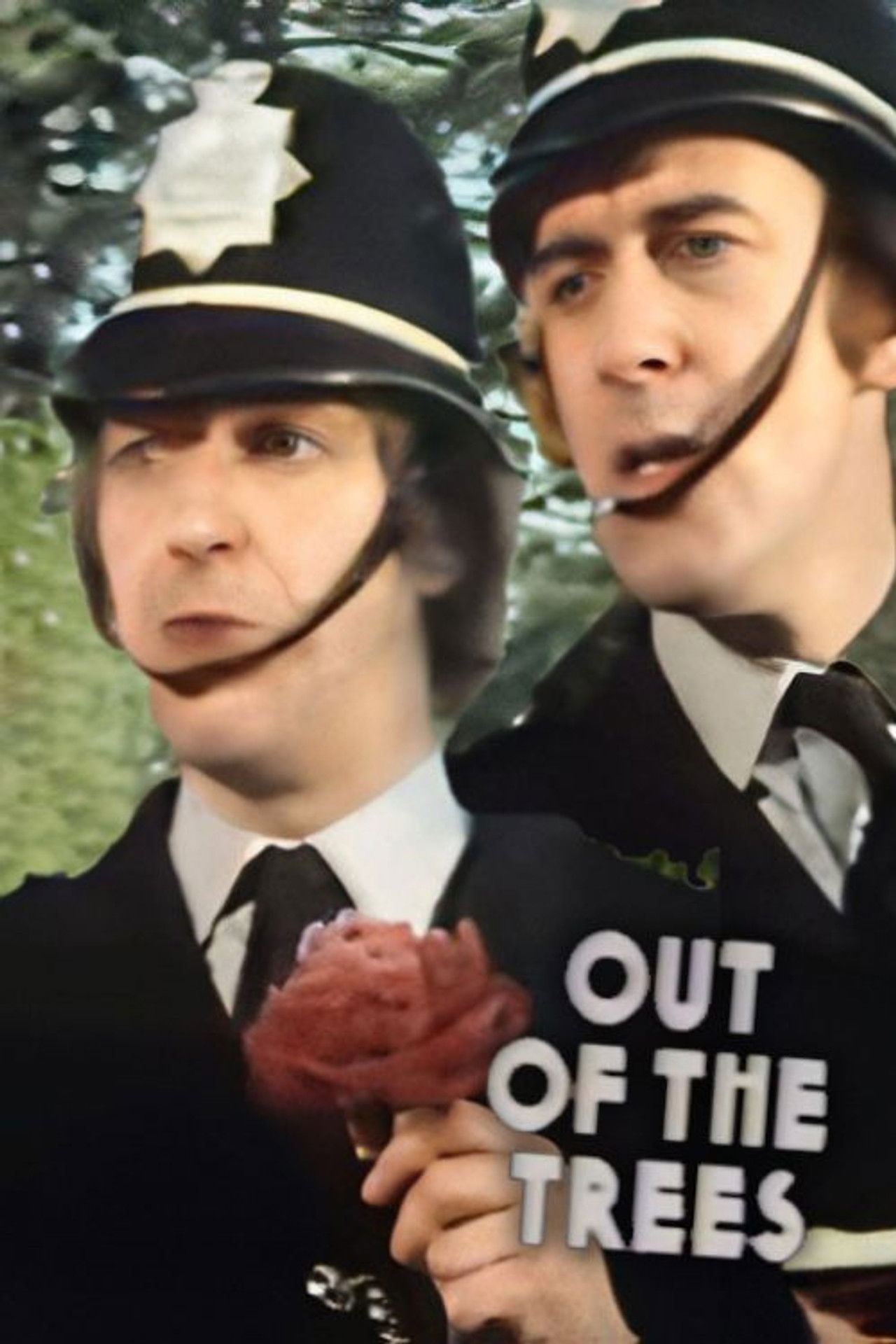 Out of the Trees Backdrop