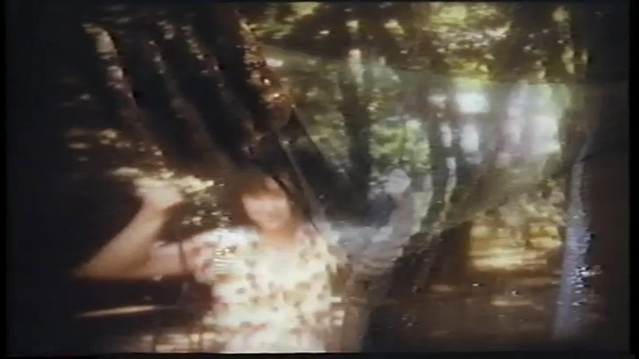 Fondo