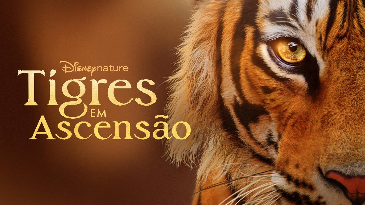 title image