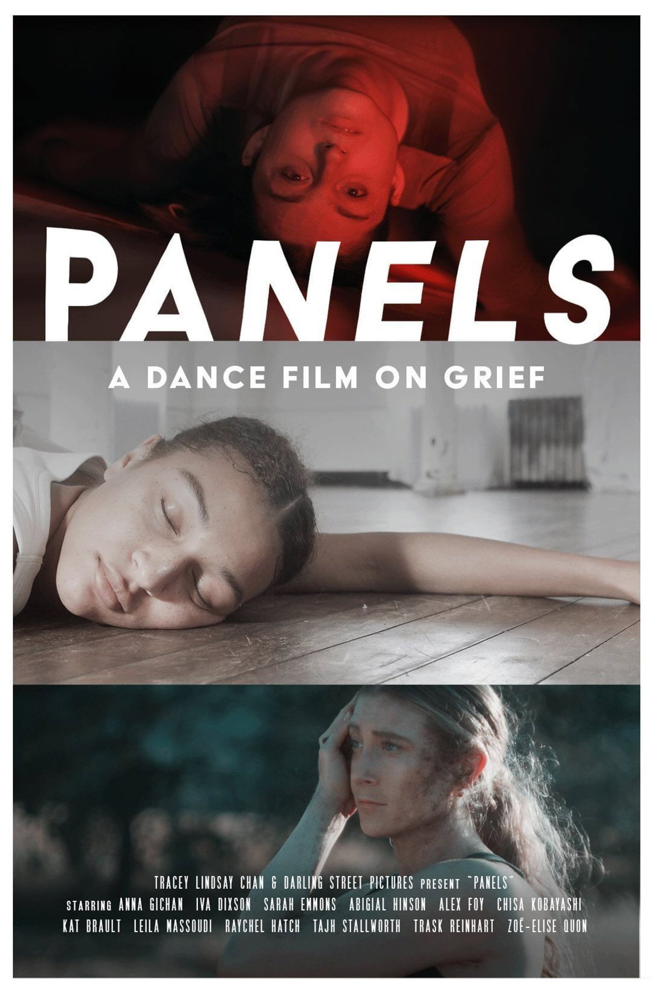 Panels filmaffisch