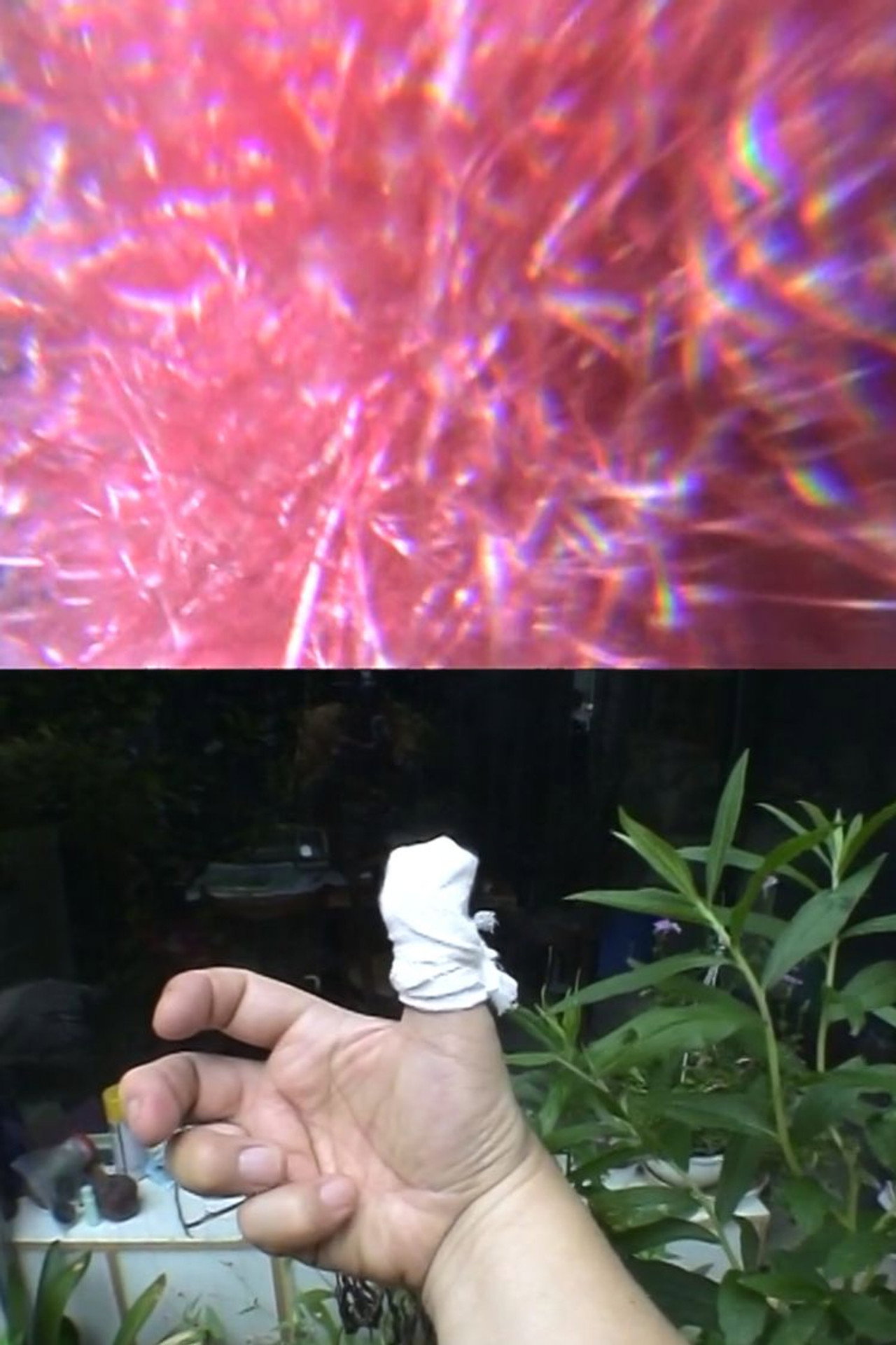 極私的にコアの花たち filmaffisch