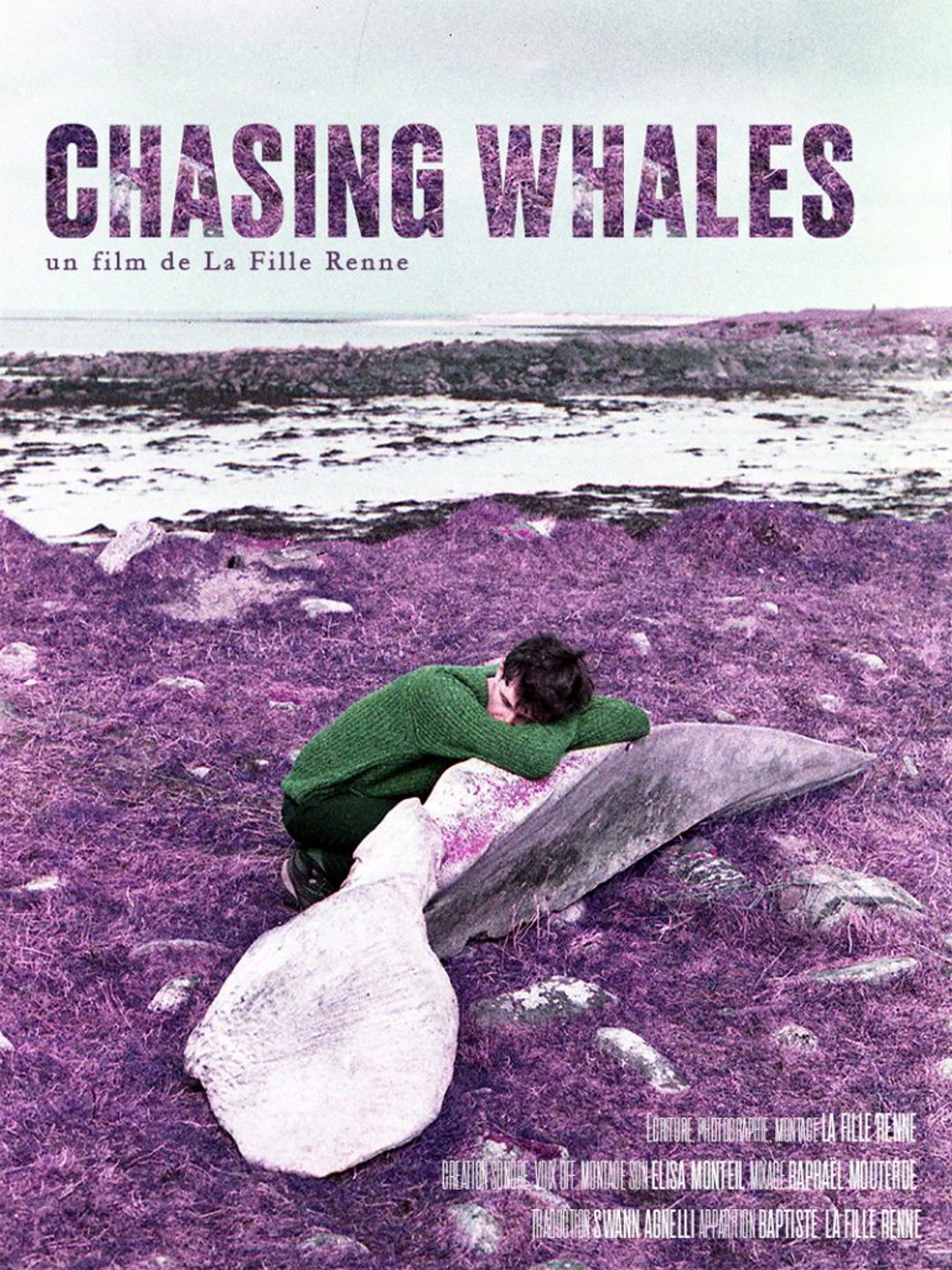 Chasing Whales Backdrop