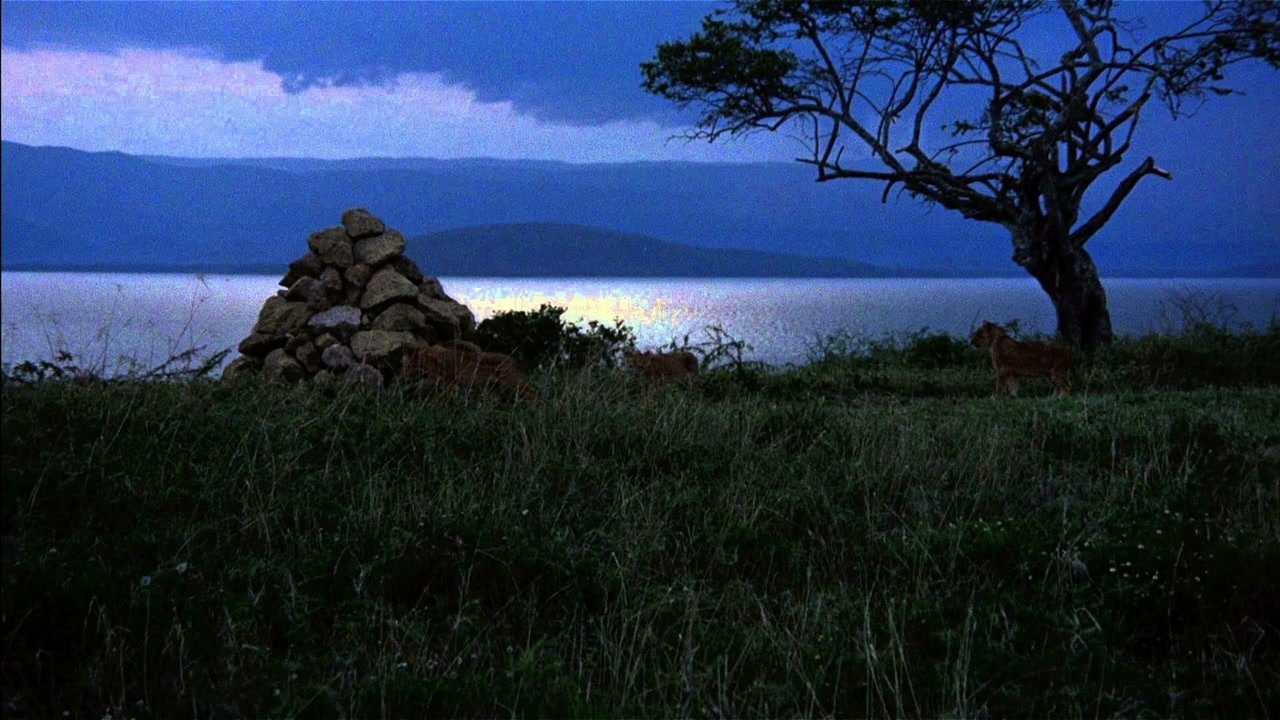 title image