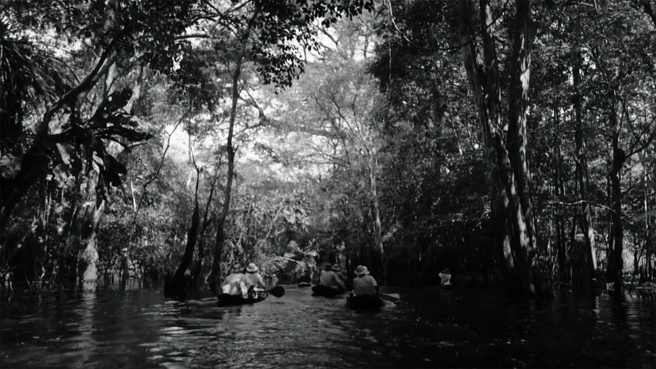 American Experience - Season 30 Episode 1 : Into the Amazon