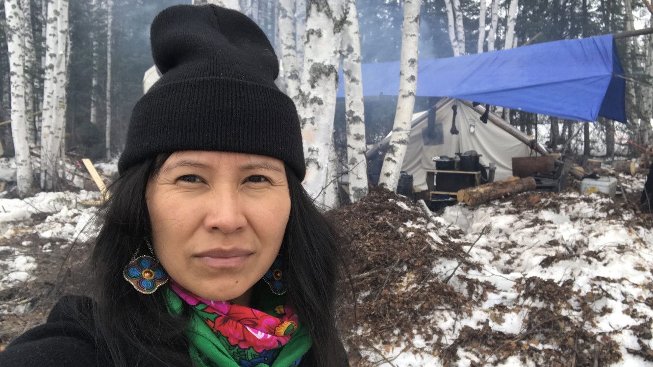 K'i Tah Amongst the Birch backdrop