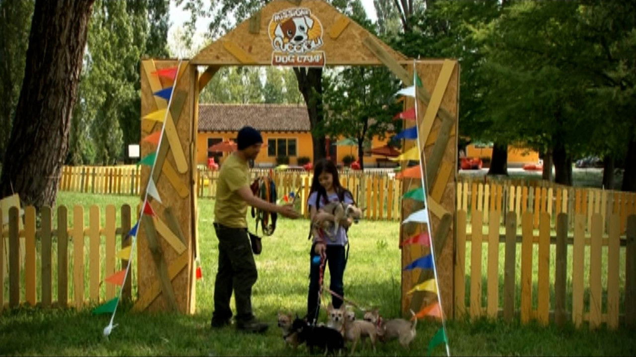 Missione cuccioli — Épisode 5