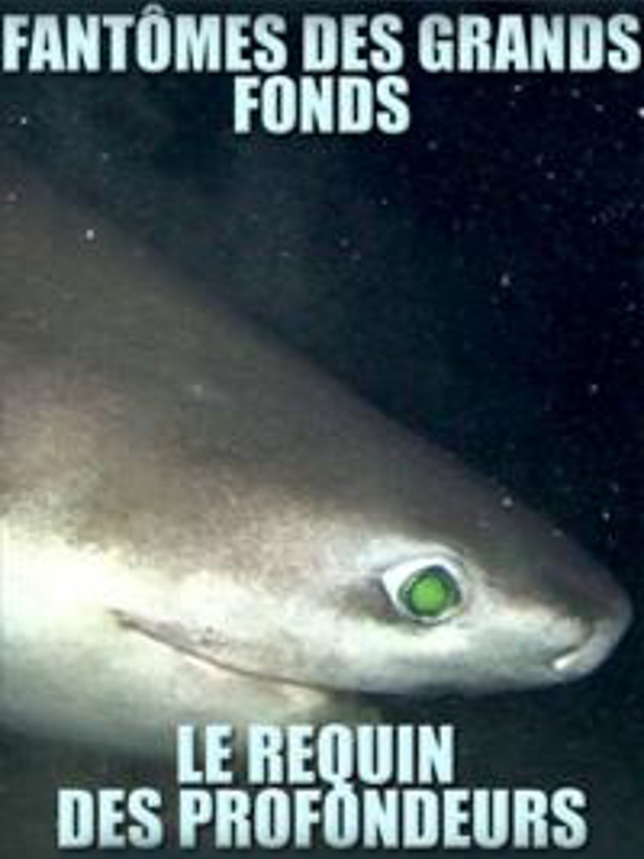 Legends of the Deep: Deep Sea Sharks