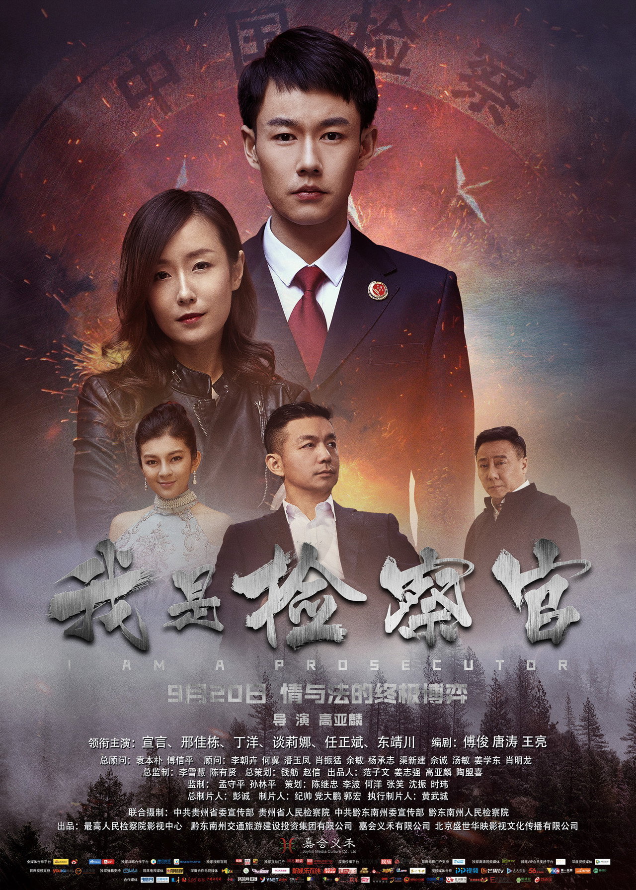 我是检察官 filmaffisch